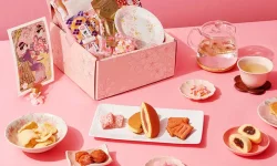 Discover the Delight of the Sakura Snack Box