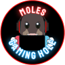 molesgaminghole