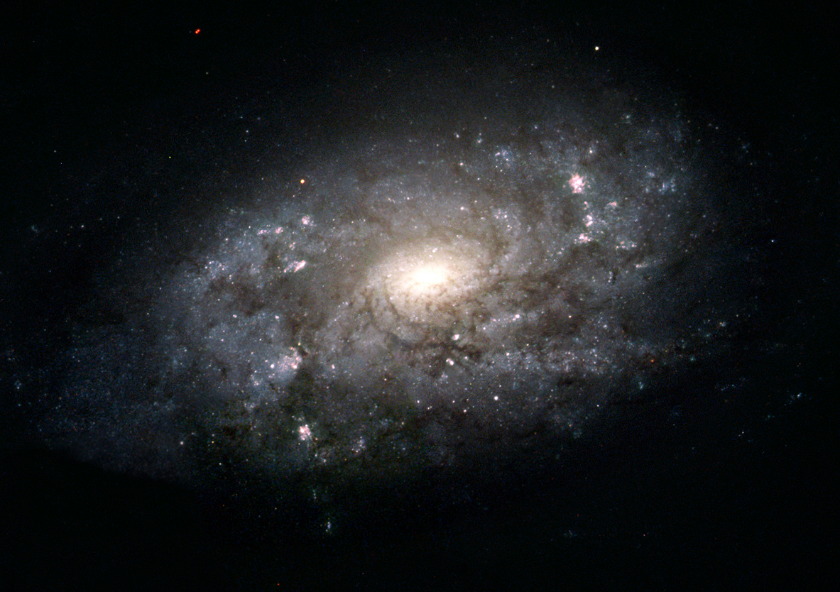 october-1-2019-galaxy-ngc-3949.jpg
